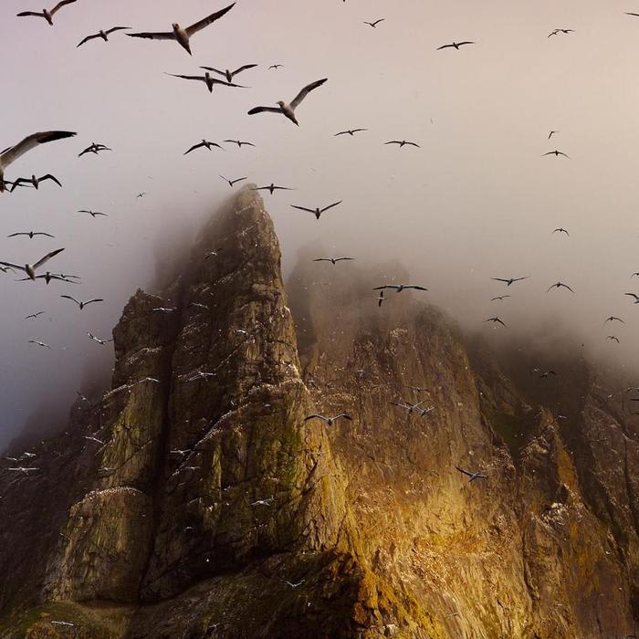 A Long Love Affair With the Scottish Isles, in Pictures