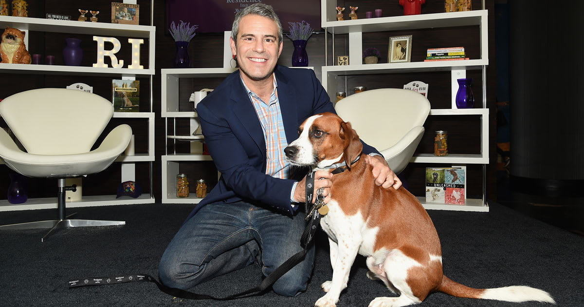 Andy Cohen Opens Up About Decision To Rehome His Beloved Dog Wacha