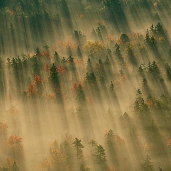 Gorgeous Pictures to Celebrate the Arrival of Fall