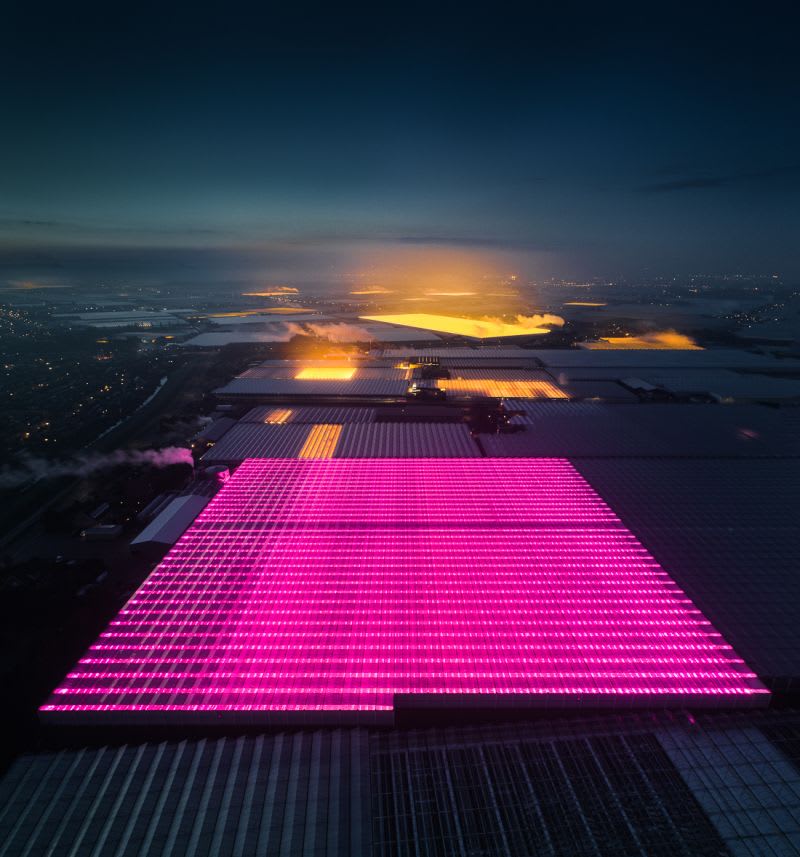 Beautiful yet disturbing aerial photographs of LED-lit greenhouses in The Netherlands