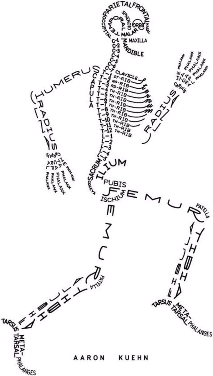 A way to remember the human skeletal system, by Aaron Kuehn.
