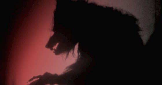 'Werewolf' Encounters Reported in Jefferson County, Washington