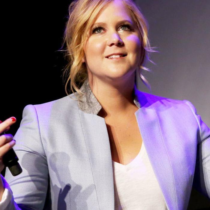 Amy Schumer Got Over It and Voted For Cynthia Nixon Anyway HOORAY!!!
