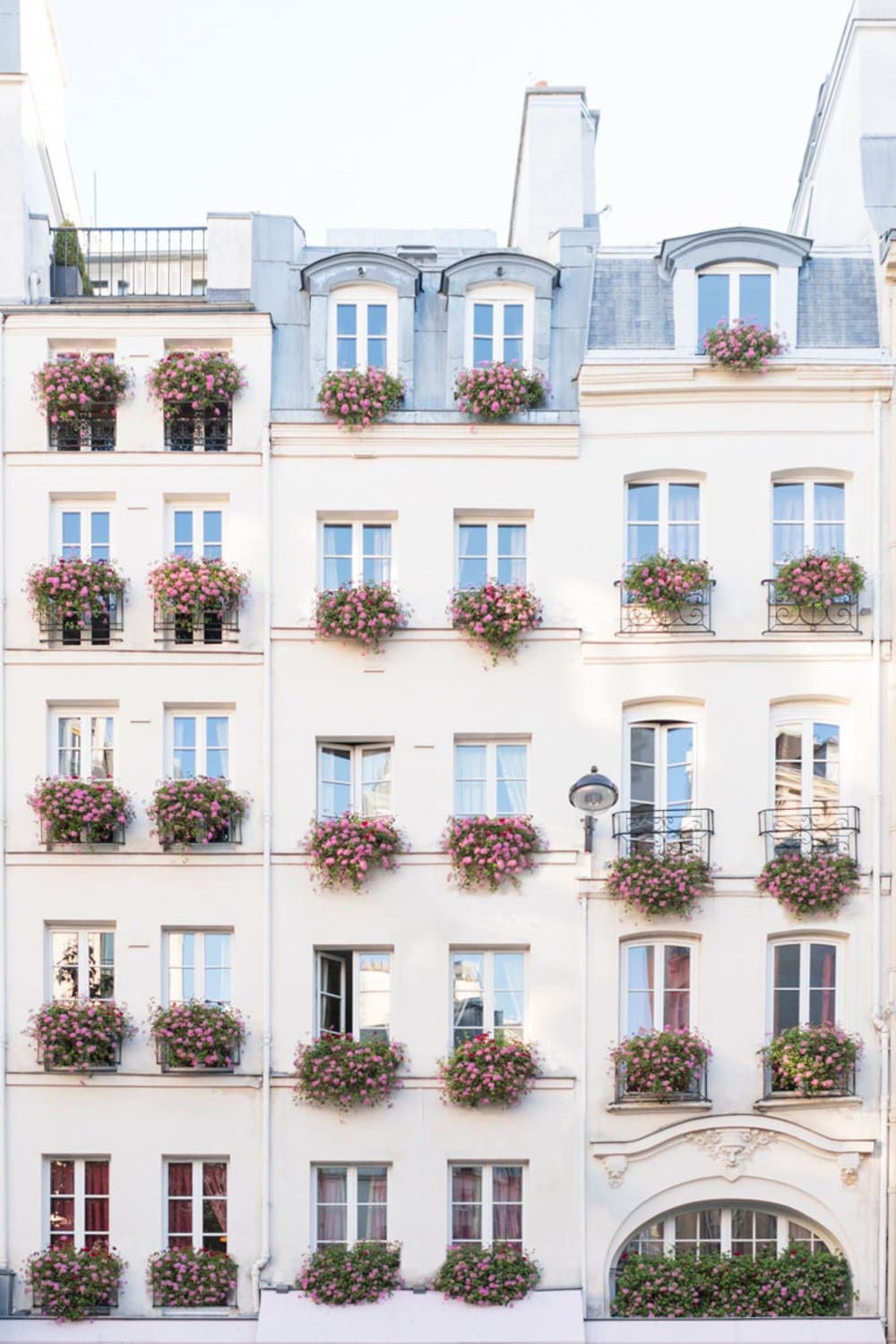 Paris Photograph Flower Boxes in Saint Germain, Travel Photography, Large Wall Art, French Home Decor, Gallery Wall, Paris Fine Art Print - Etsy