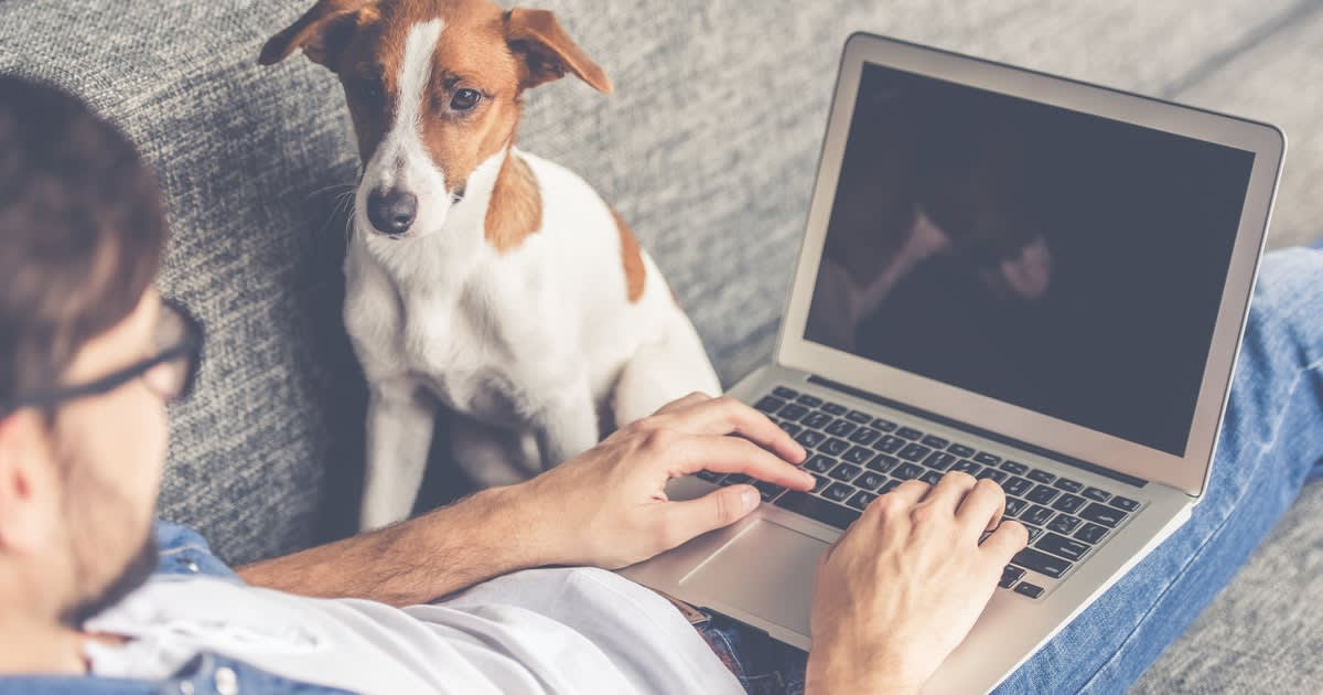 Why man's best friend is good and bad for your WFH career