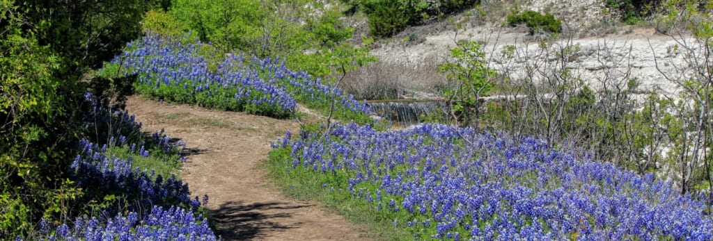 A Complete Guide to Cleburne State Park Hiking Trails - TWO WORLDS TREASURES