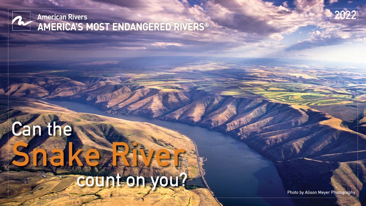 @AmericanRivers named the Snake River one of the MostEndangeredRivers of 2022, pointing to the urgent need for a plan that recovers salmon, honors commitments to Tribal Nations & invests in clean energy, ag & transportation infrastructure. Take action: