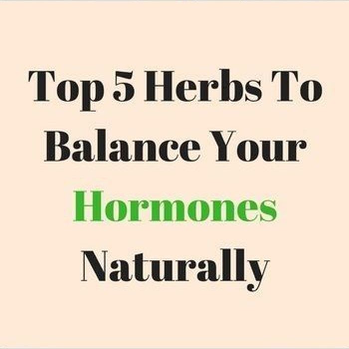 Top 5 Herbs To Balance Your Hormones Naturally