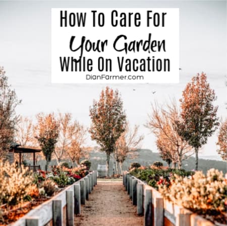 How To Care For Your Garden While On Vacation