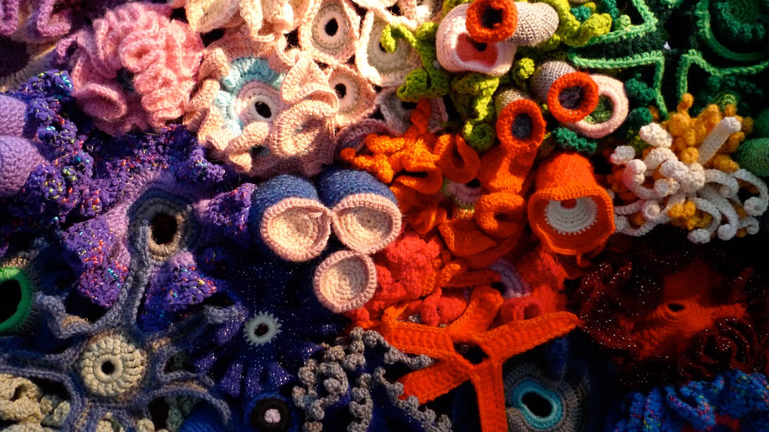 Gallery: What happens when you mix math, coral and crochet? It’s mind-blowing