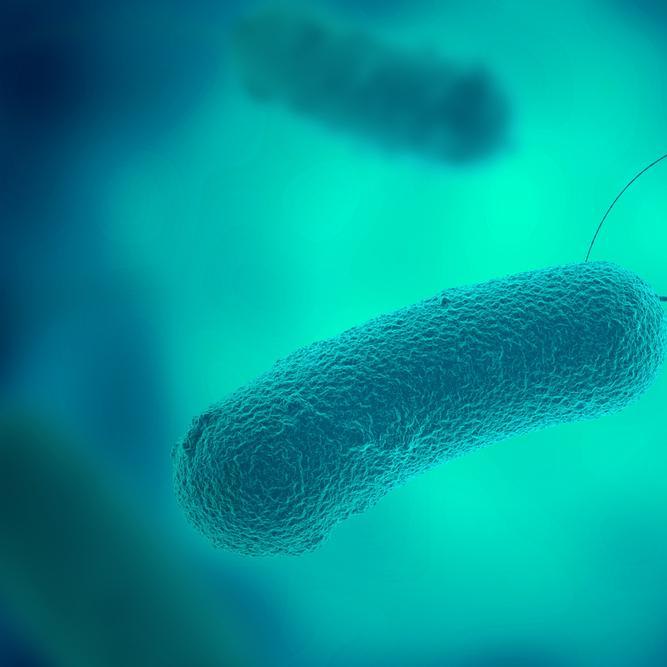 Legionella Risk Management- An Insight