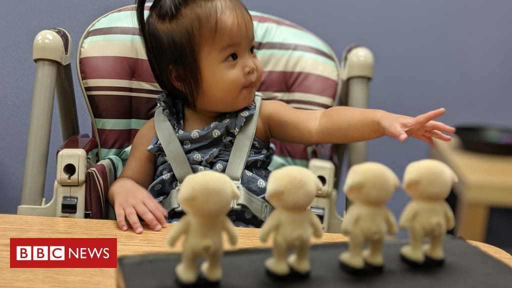 Babies 'count long before learning one-two-three'