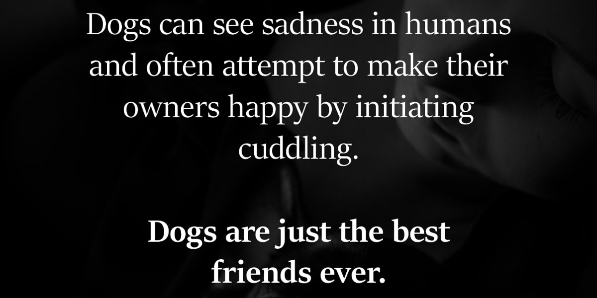 Dogs Are Just The Best Friends Ever