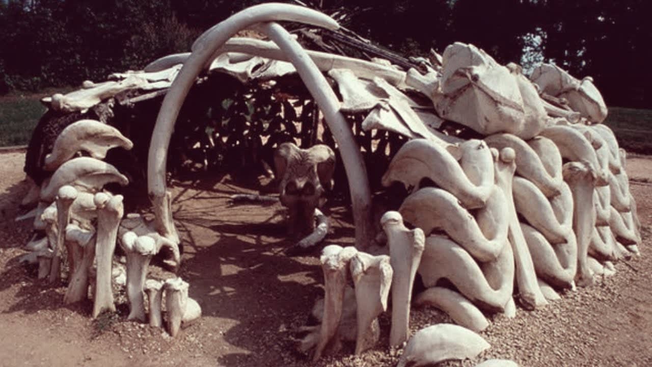 A 25,000-year-old Ice Age structure made from the bones of 60 woolly mammoths.