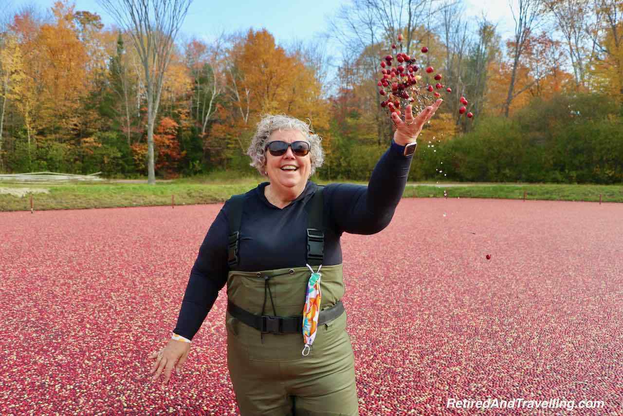 Doing The Johnston's Cranberry Bog Plunge At Muskoka Lakes Farm And Winery - Retired And Travelling