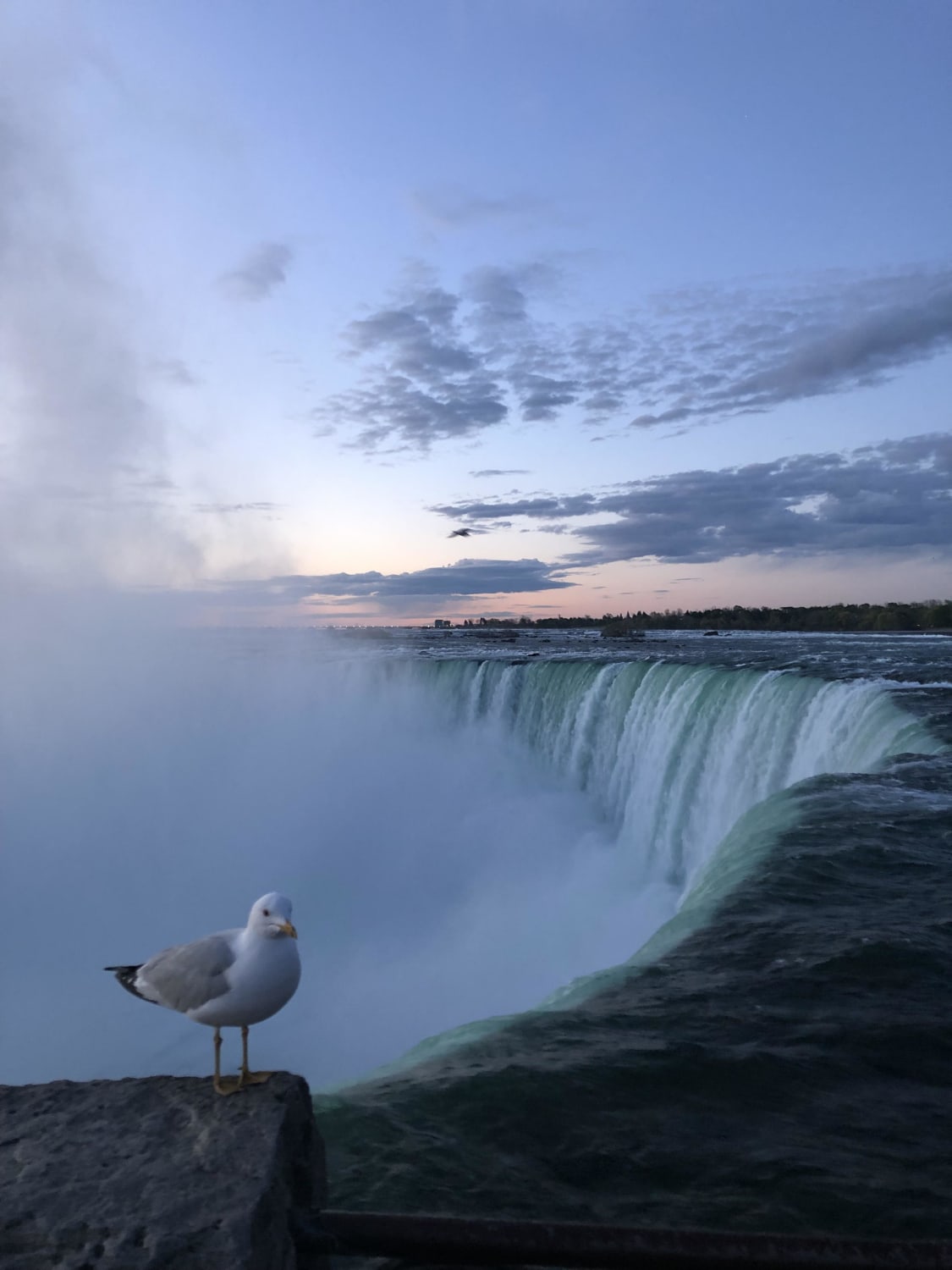ITAP in Niagara Falls, Canada