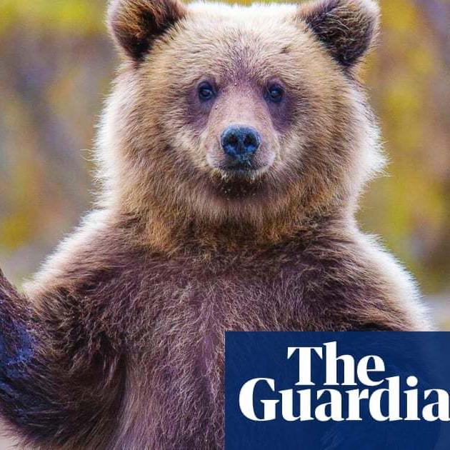 Revealed: US moves to keep endangered species discussions secret