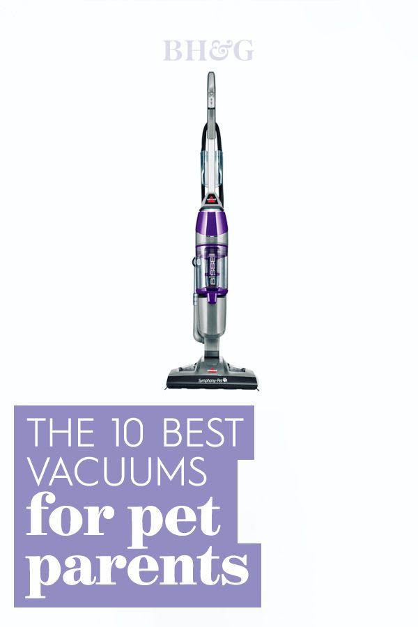The 10 Best Vacuums to Easily Remove Pet Hair from Floors and Furniture