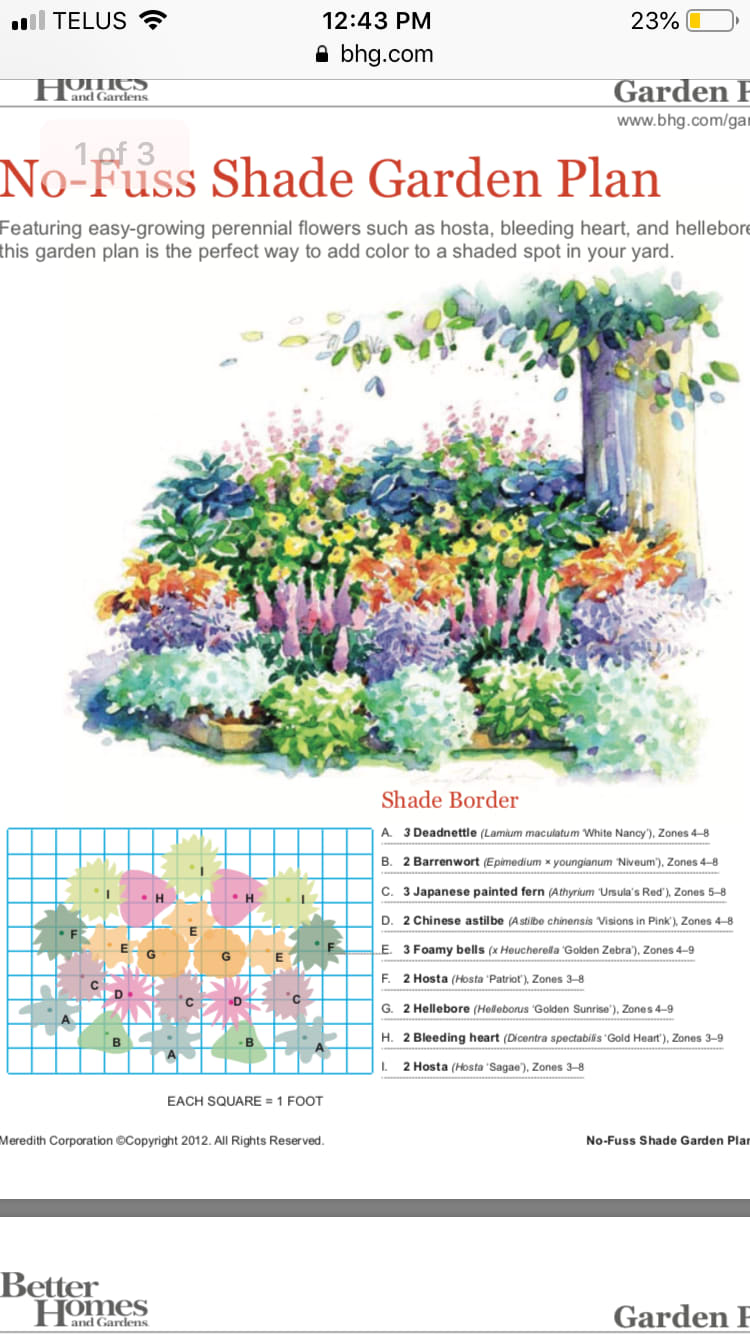 Pin by Jess Pflieger on Home Ideas | Flower garden plans, Garden planning, Shade garden
