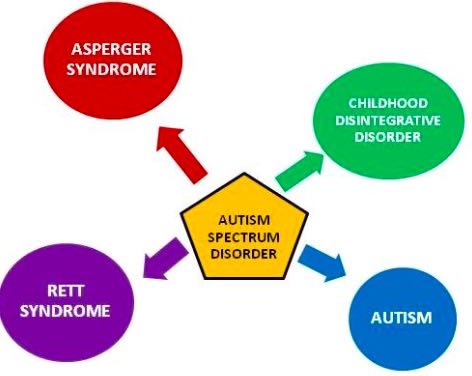 What Are the Types of Autism Spectrum Disorder? - Speech & OT
