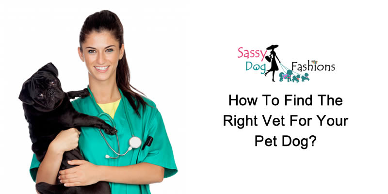 How to find the right Vet for your Pet Dog?