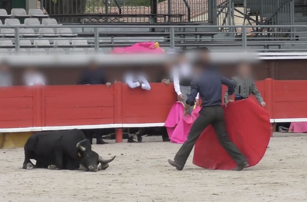 Shocking bullfighting video shows animal killed in front of children: 'It is an education of sadism'