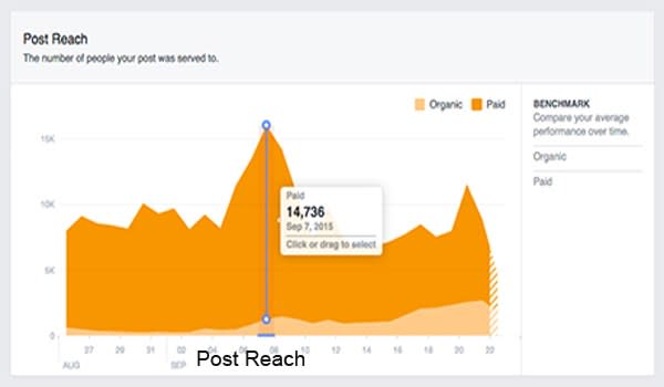Facebook Page Analytics - Why Use Facebook Insights?