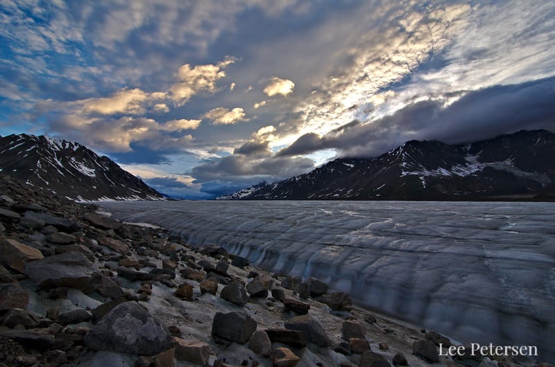 Glaciers and Icebergs - Lee Petersen