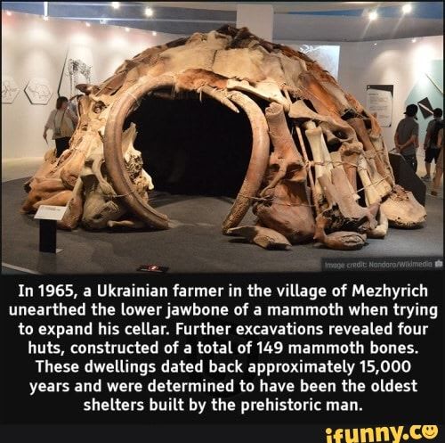 In 1965, a Ukrainian farmer in the village of Mezhyrich unearthed the lower jawbone of a mammoth when trying to expand his cellar. Further excavations revealed four huts, constructed of a total of 149 mammoth bones. These dwellings dated back approximately 15,000 years and were determined to have been the oldest shelters built by the prehistoric man. - iFunny