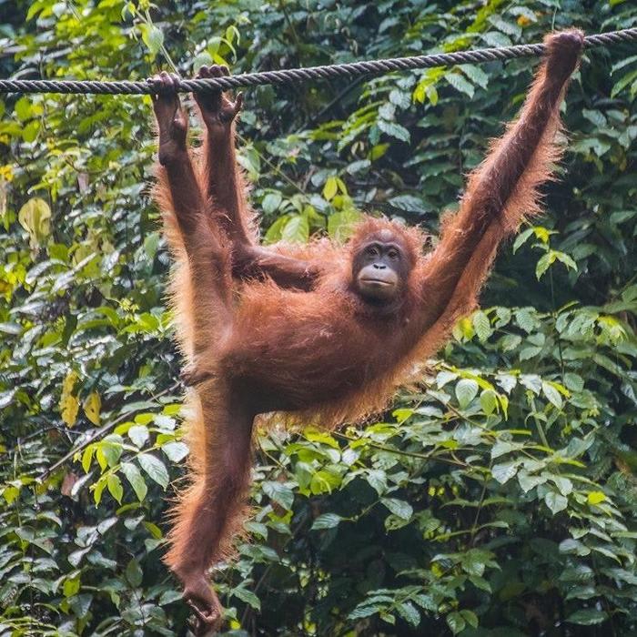 Travel Guide to Sabah, Borneo: Top Places & Itineraries - Beard and Curly Blog