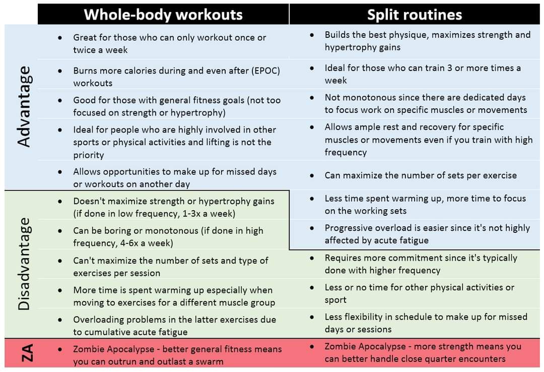 Whole body workouts vs. Split routines