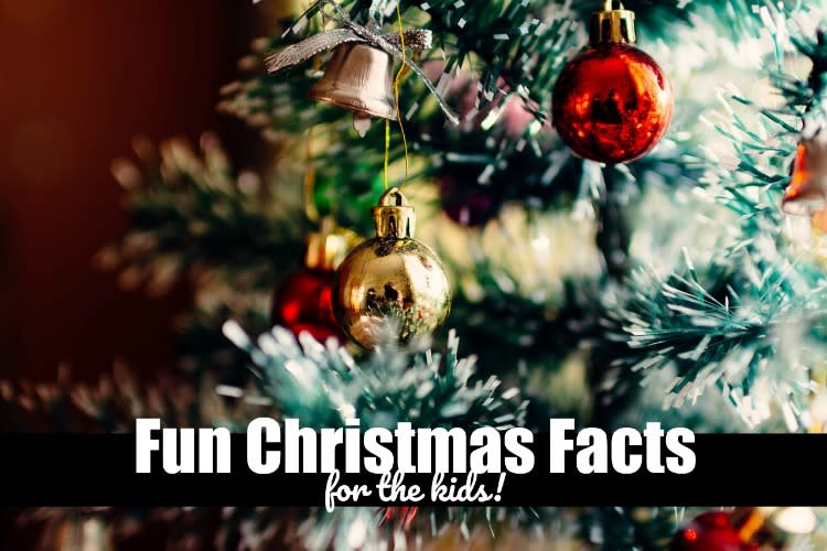Christmas Fun Facts for the Kids to Learn - Long Wait For Isabella