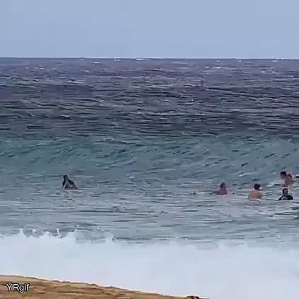 Surfer Does A Flippity Doo Dah