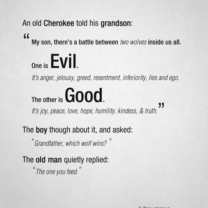 An old Cherokee told his grandson: