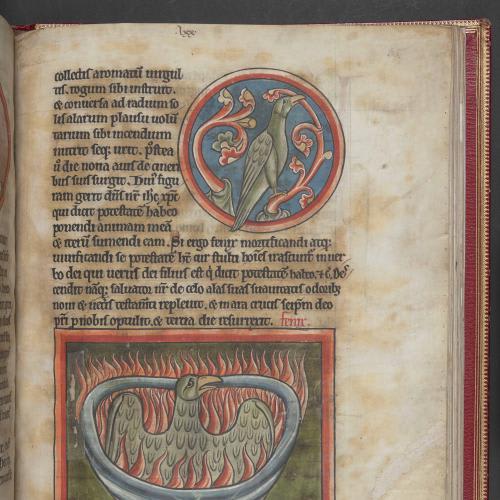 Rising from the ashes: bringing a medieval manuscript to life