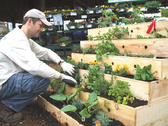 Small Footprint, Big Yield: Create an Easy Micro Organic Urban Garden Today! - Urban Gardens