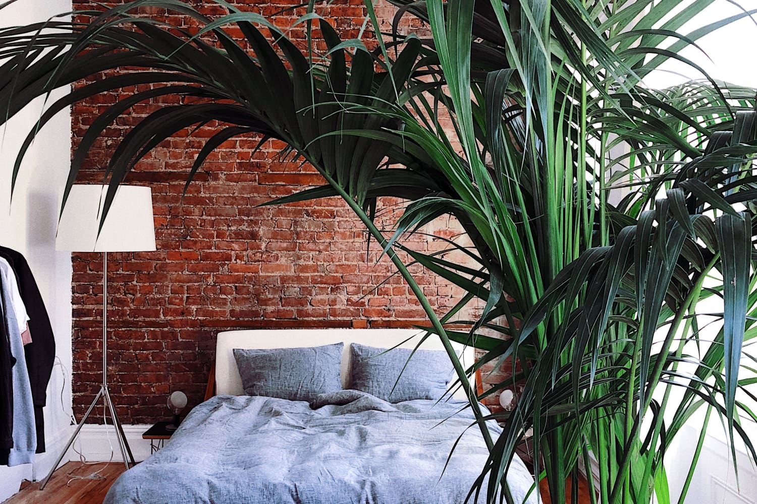 Behold Big Plants, Beautiful Views, and Bold Brick in This Sleek NYC Loft