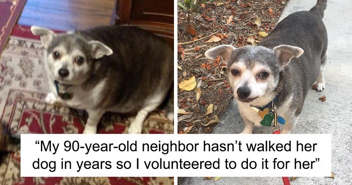 30 Adorable Good Boys And Girls That Lost Weight