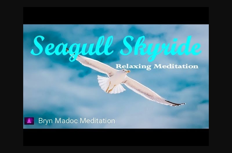 Seagull Skyride, Spiritual Relaxation Meditation, Contemplation Music, Sleep Music