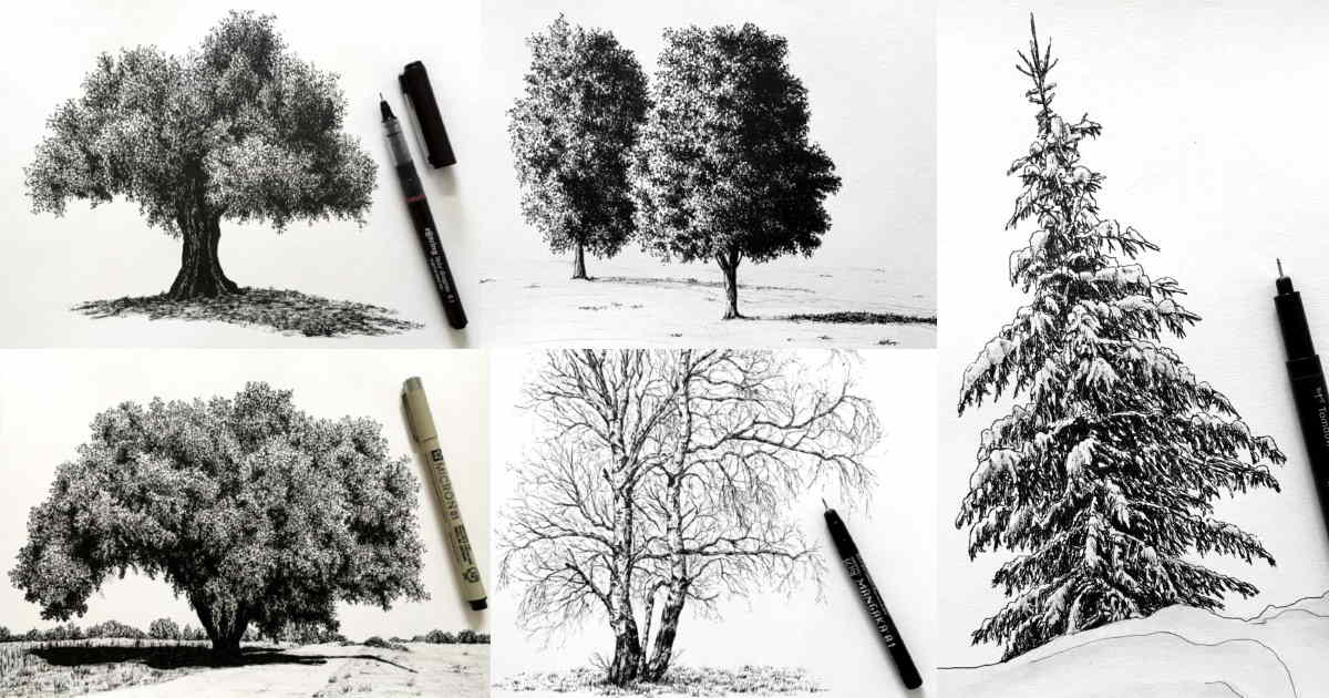 How to Draw (Realistic) Trees with Pen & Ink