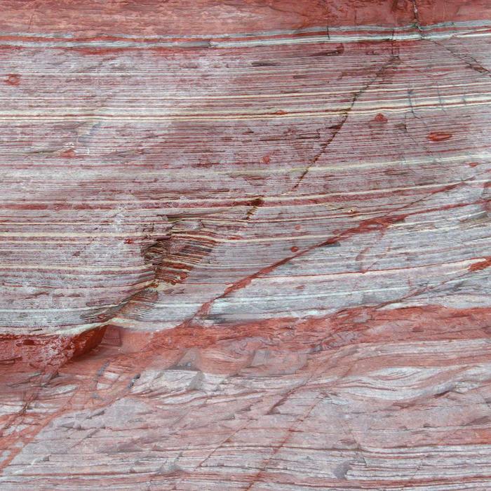 Billion-Year-Old Rocks Reveal the First Color Ever Produced by a Living Thing