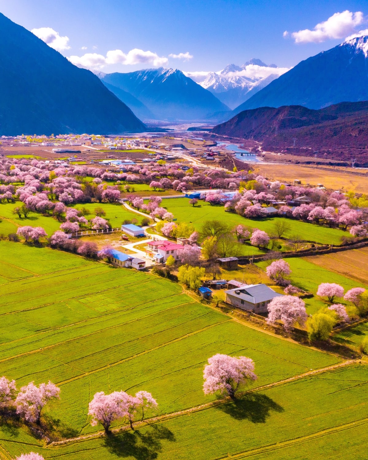 Peach Blossom Valley, Linzhi, Tibet