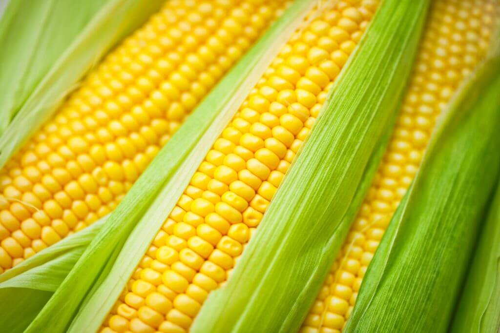 How Long You Should Really Boil Corn on the Cob for Perfectly Sweet Ears
