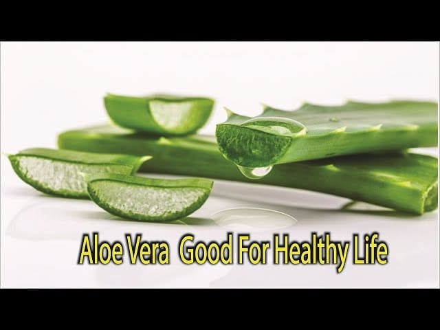 Why Aloe Vera Need for All Men Aloe Vera Gel Benefits of Aloe Vera 2018