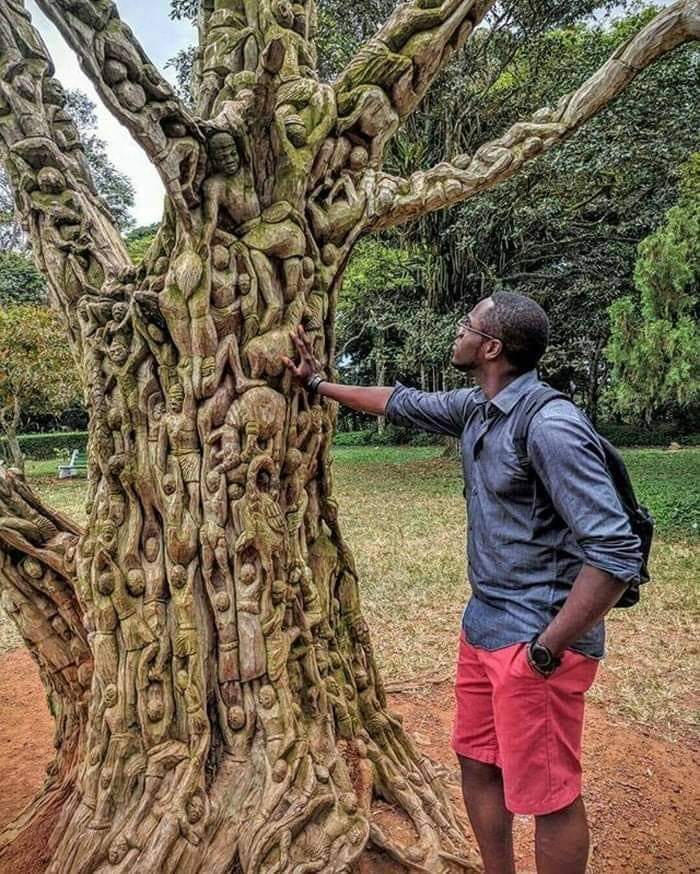 Artist Unknown. Sculpted dead tree that has stood for over 300 years, from Aburi Botanical Gardens located in Aburi, Ghana.