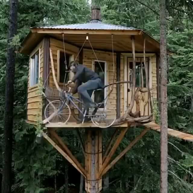 Tree house elevator