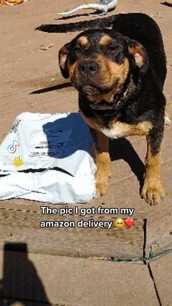 Delivery picture