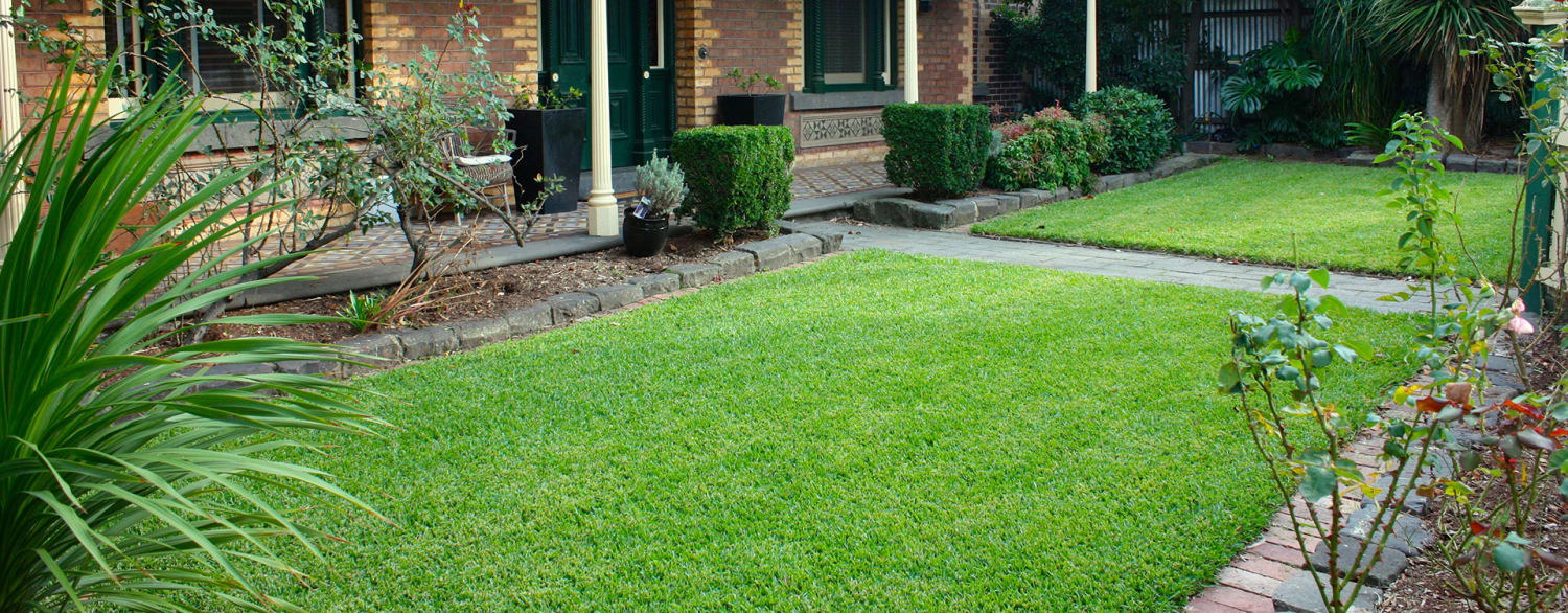 9 Tips on How To Choose The Right Grass For Your Lawn (#5 Will Blow Your Mind) - News