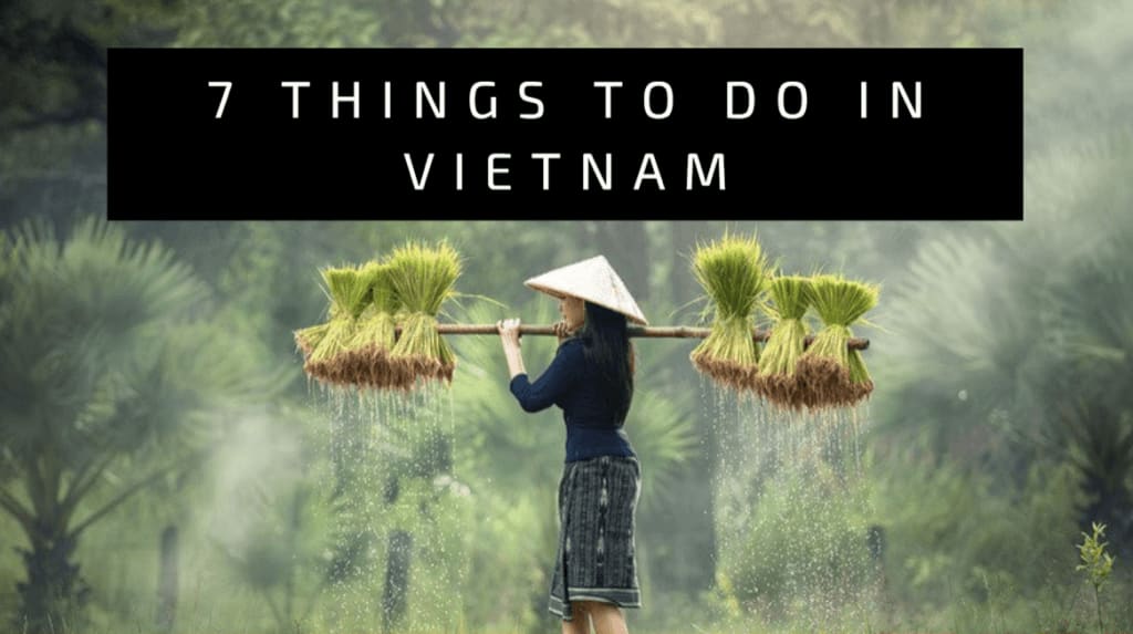 7 Things to do in Vietnam for the Ultimate Experience – Wellington World Travels