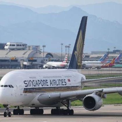 Singapore Airlines bans lion bones in cargo